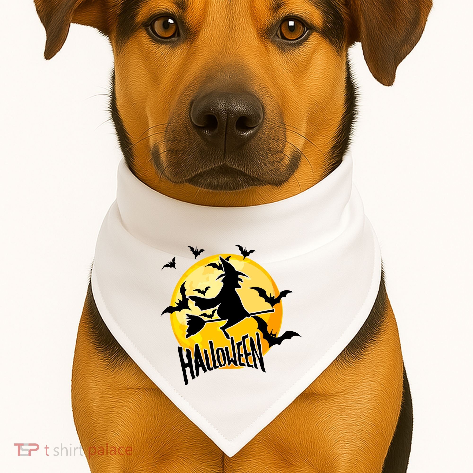 Halloween Spooky Moon Flying Witch USA-Made Doggie Bandana