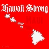 Hawaii Strong Maui Gift Santa Hat thumb 1
