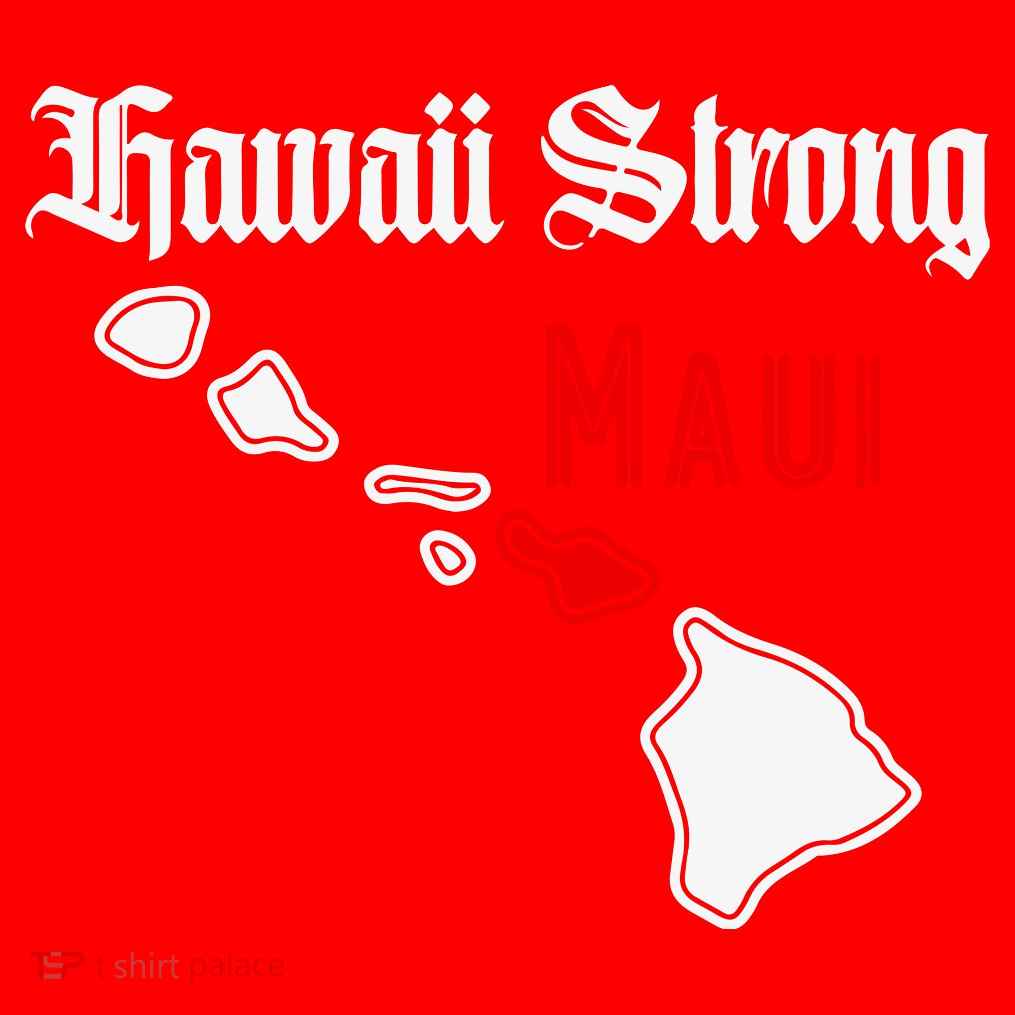 Hawaii Strong Maui Gift Santa Hat