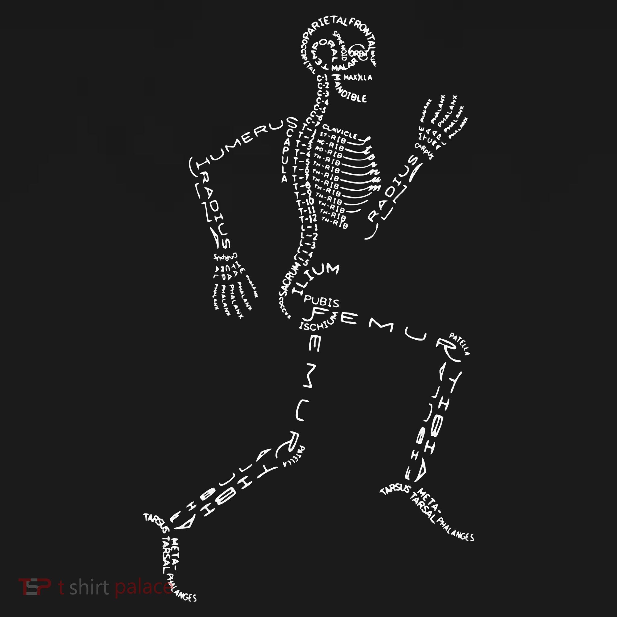 Human Skeleton Running Bone Names Anatomy Labels for Geeks Women's Long Sleeve Shirt