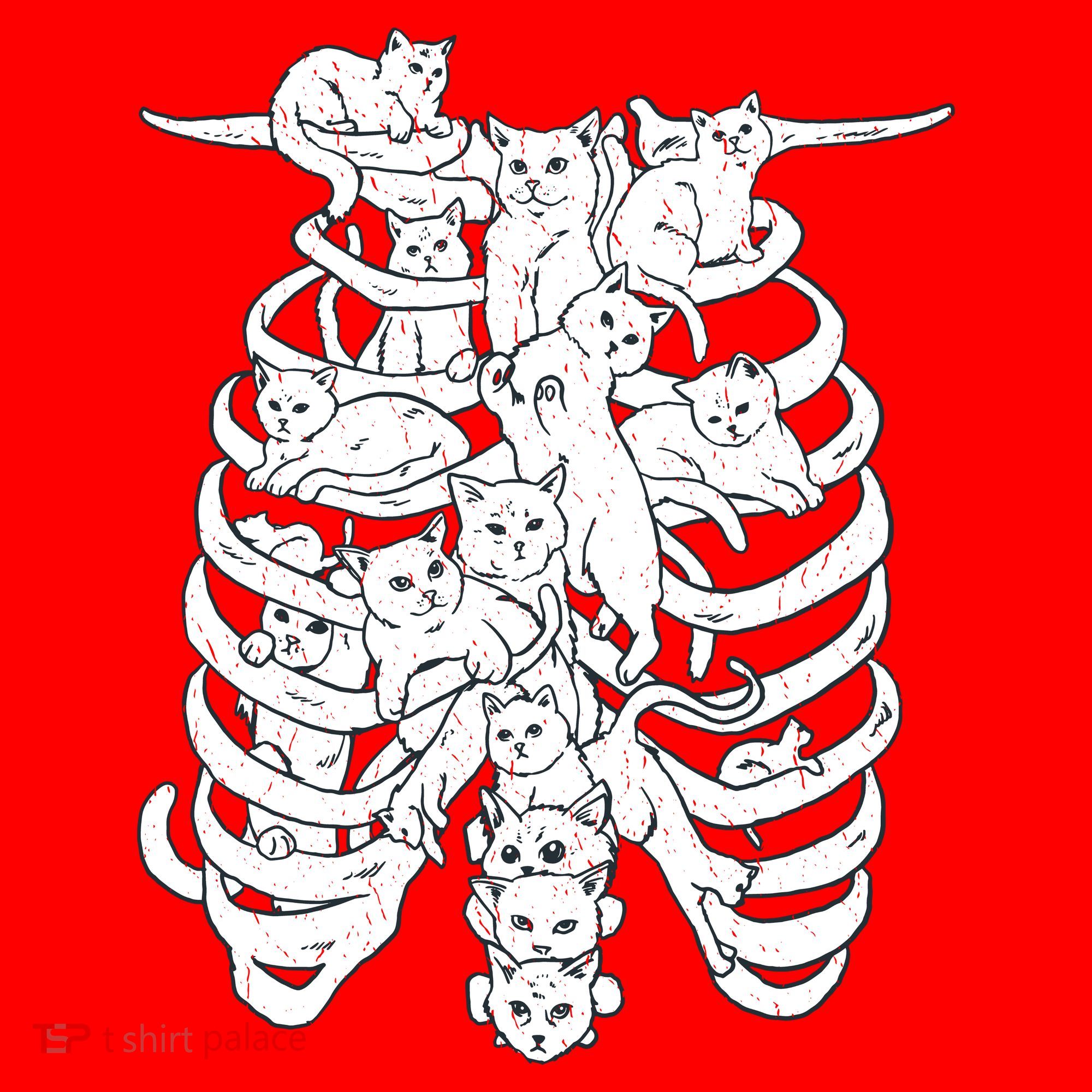 Human Skeleton Spine Cats Santa Hat