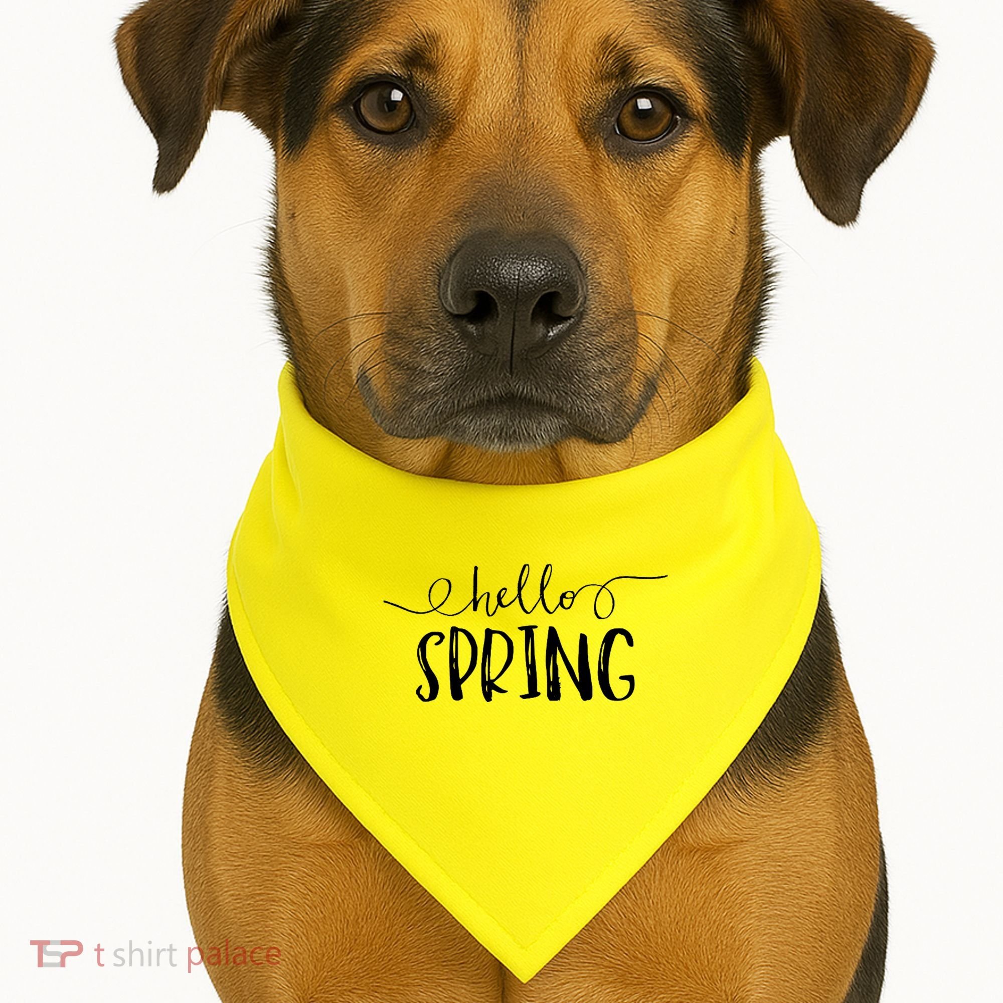 Hello Spring Season USA-Made Doggie Bandana