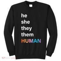 He She They Them Human LGBT Pride Rainbow Sweatshirt thumb 0