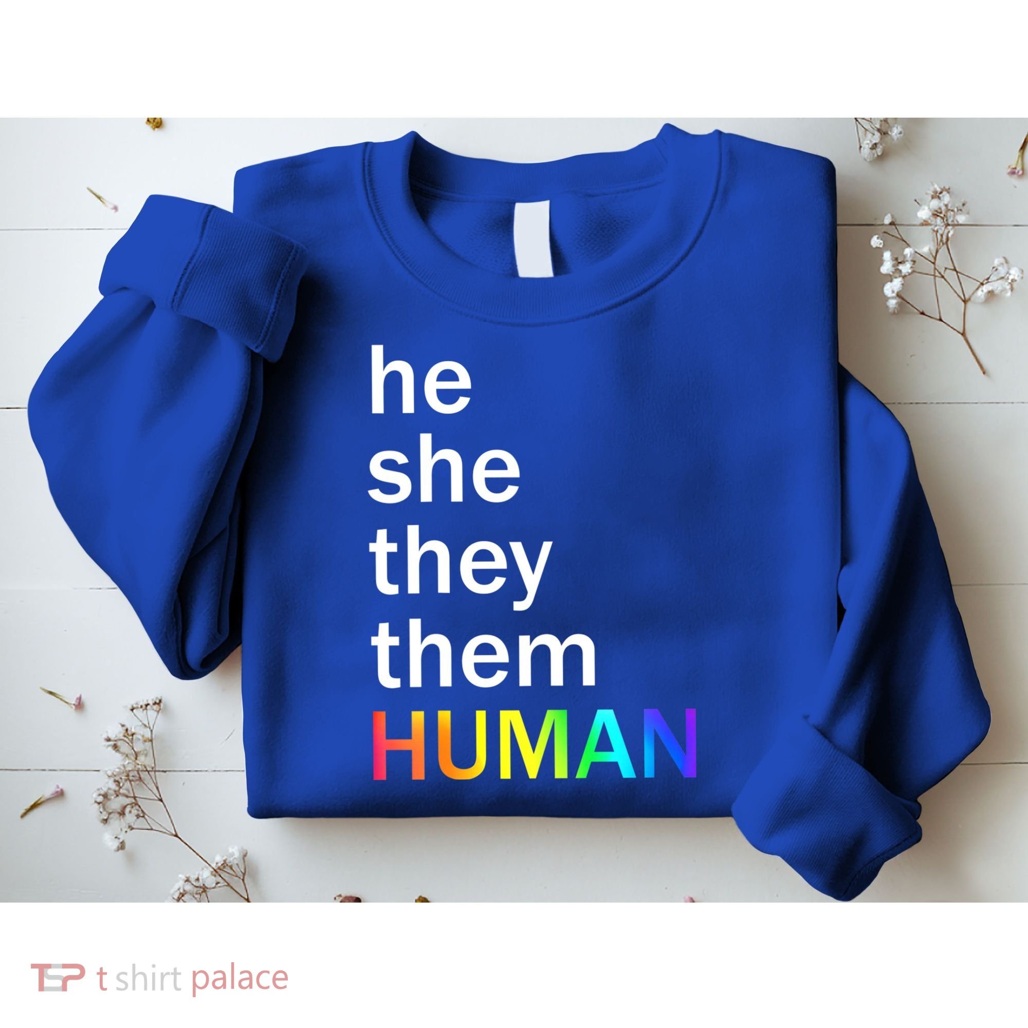 He She They Them Human LGBTQ Pride Sweatshirt