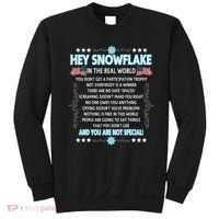 Hey Snowflake The Real World Funny Veteran Gift Sweatshirt thumb 0