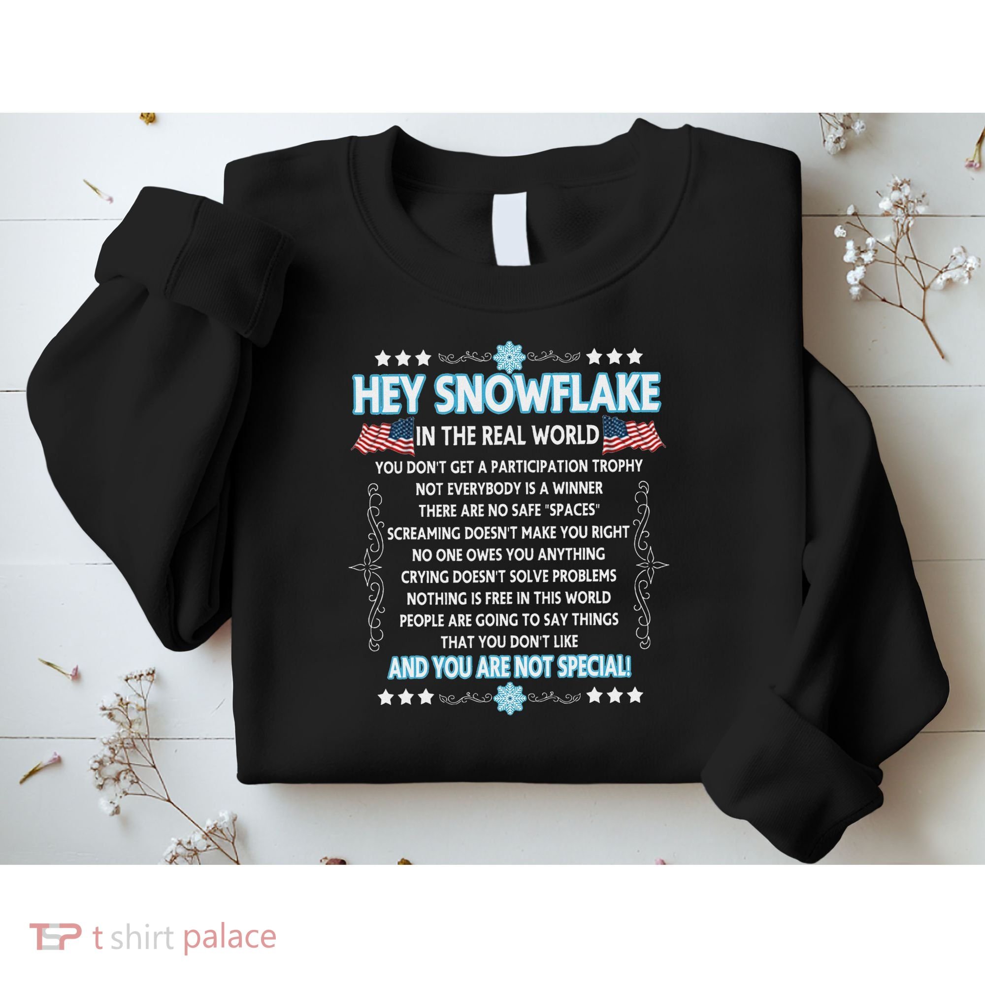 Hey Snowflake The Real World Funny Veteran Gift Sweatshirt
