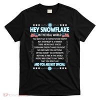 Hey Snowflake The Real World Funny Veteran Gift T-Shirt thumb 0