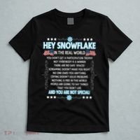 Hey Snowflake The Real World Funny Veteran Gift T-Shirt thumb 5
