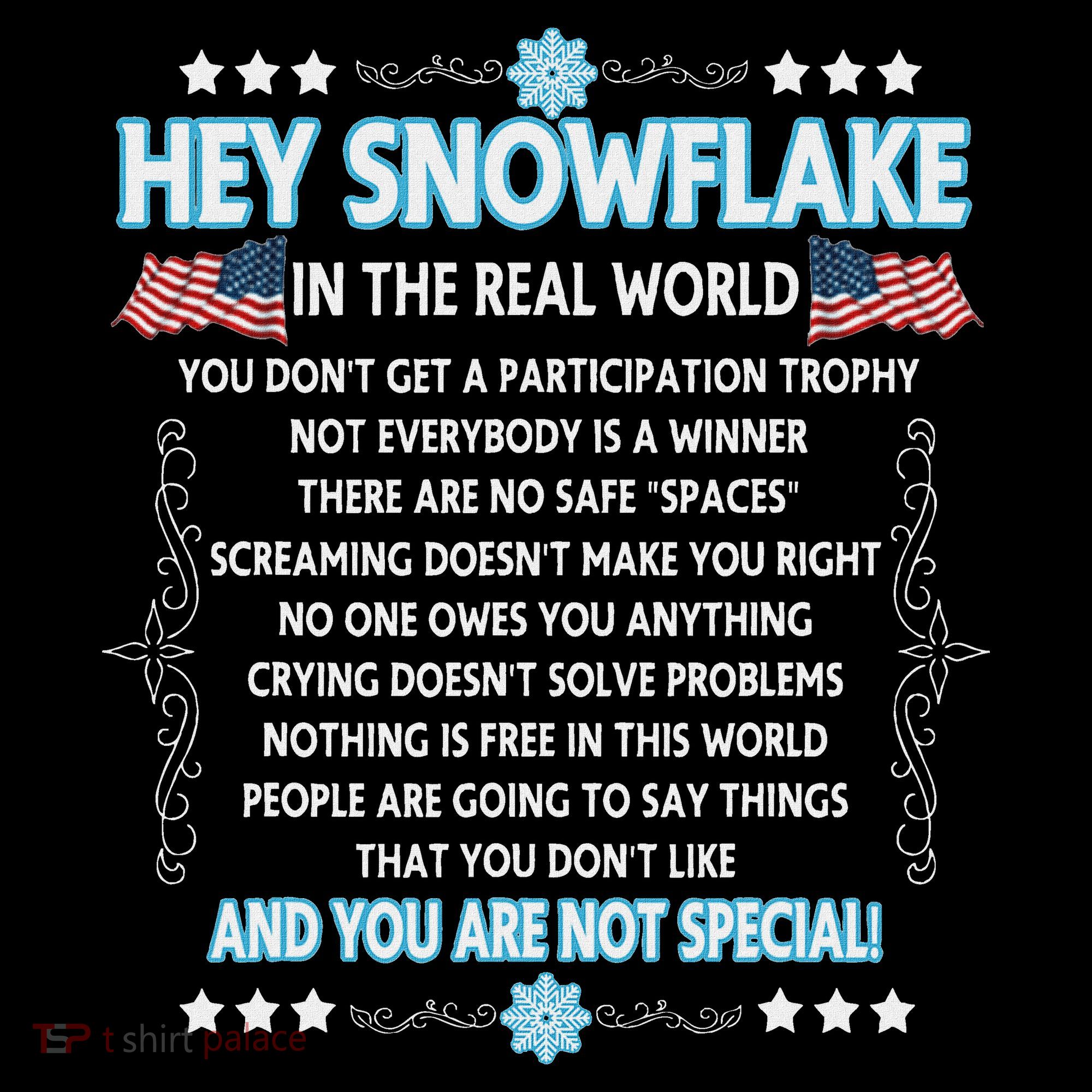 Hey Snowflake The Real World Funny Veteran Gift Women's Hoodie