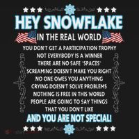 Hey Snowflake The Real World Funny Veteran Gift Baby Bodysuit thumb 2