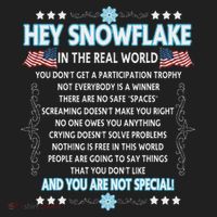 Hey Snowflake The Real World Funny Veteran Gift Hat thumb 2