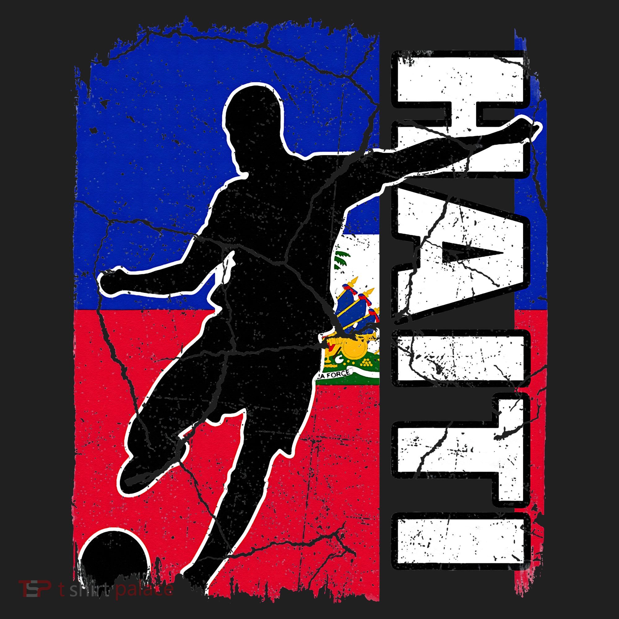 Haitian Soccer Team Haiti Flag Jersey Fans Tumbler