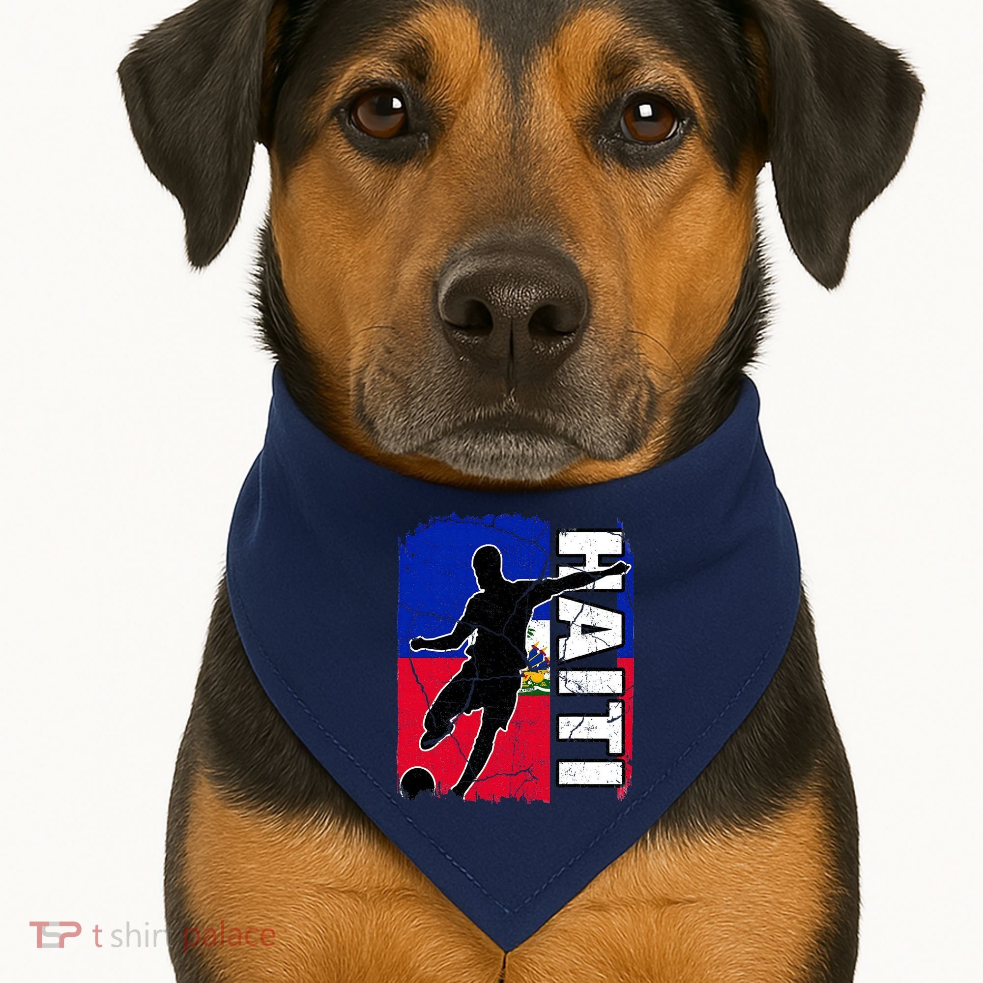 Haitian Soccer Team Haiti Flag Jersey Fans USA-Made Doggie Bandana