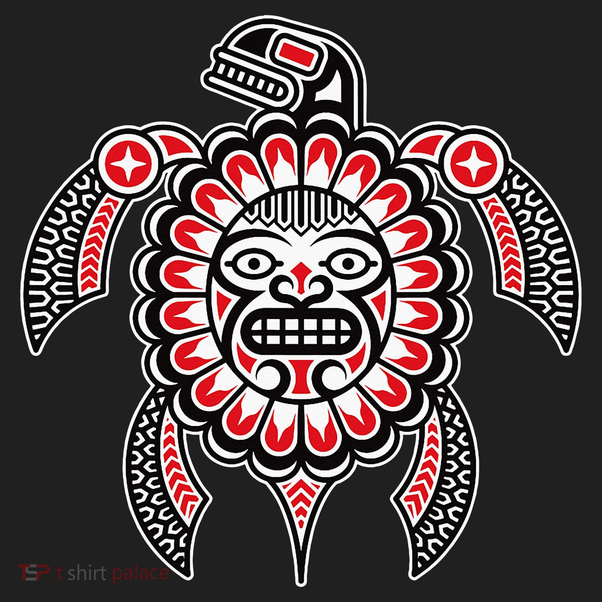 Haida Turtle American Indian Native America Indigenous Hat