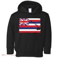 Hawaii The Aloha State Flag By Hawaii Nei All Day Toddler Hoodie thumb 0
