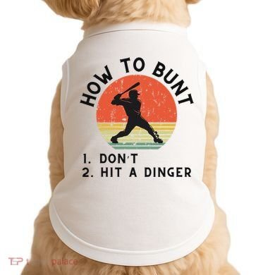 How To Bunt DonT Hit A Dinger Baseball Player Doggie Tank