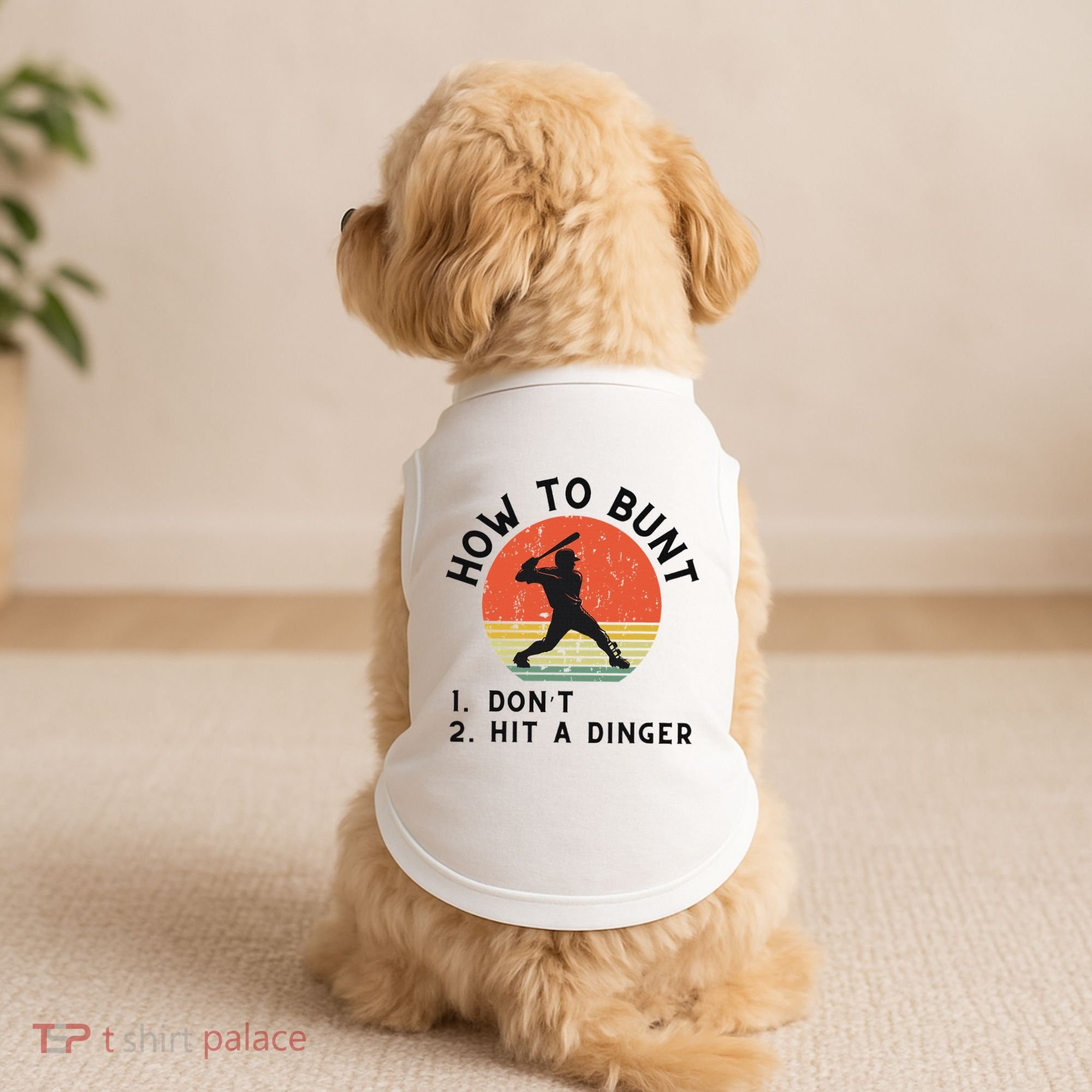 How To Bunt DonT Hit A Dinger Baseball Player Doggie Tank