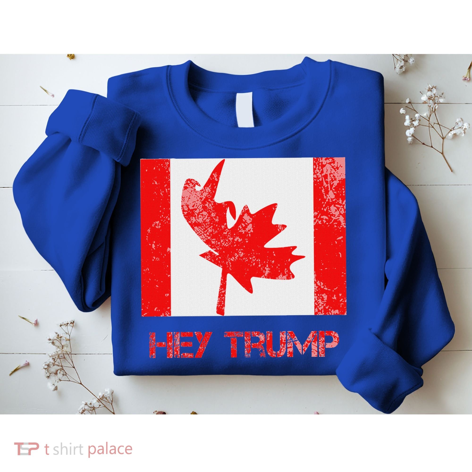Hey Trump Canada Sweatshirt