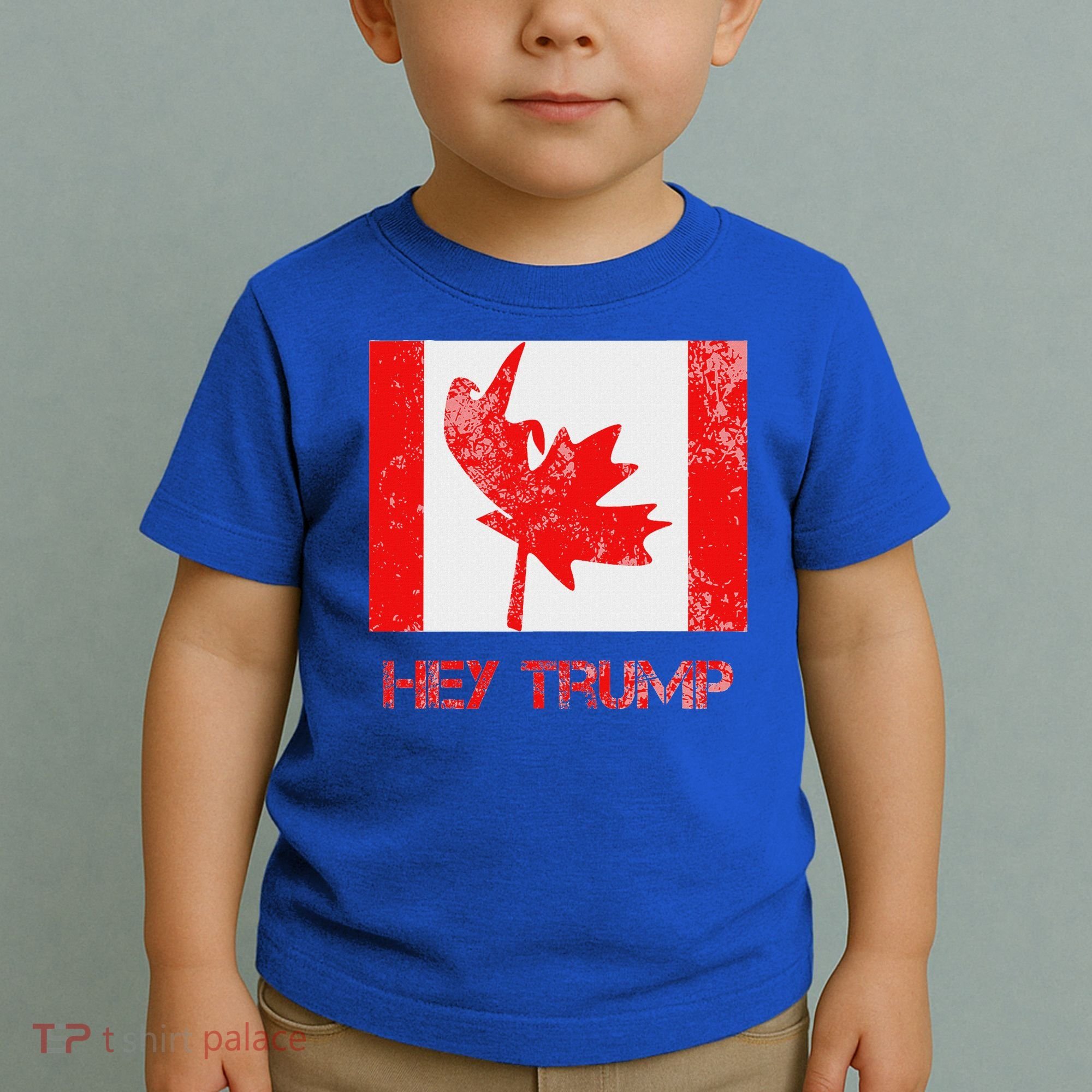 Hey Trump Canada Toddler T-Shirt