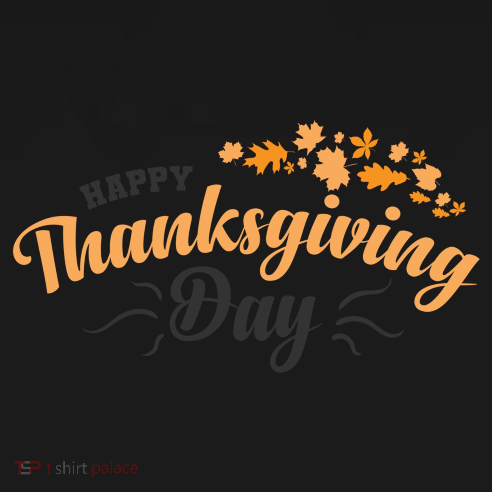 Happy Thanksgiving Day Turkey Usa Family Gift Women's Hoodie