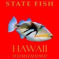Hawaii Territory Fish The Humuhumu Santa Hat thumb 1
