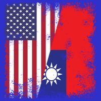 Half Taiwanese Flag Vintage Taiwan Usa Gift Great Gift T-Shirt thumb 7