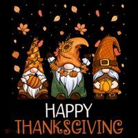 Happy Thanksgiving Gnome Squad Toddler Hoodie thumb 2