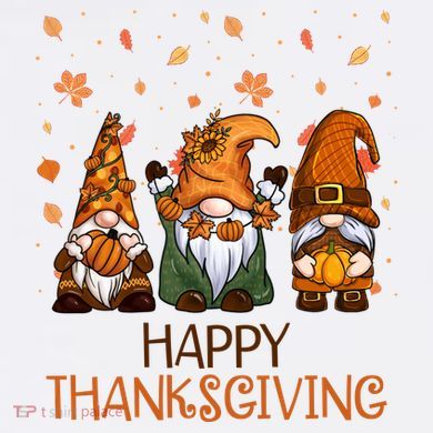 Happy Thanksgiving Gnome Squad T-Shirt