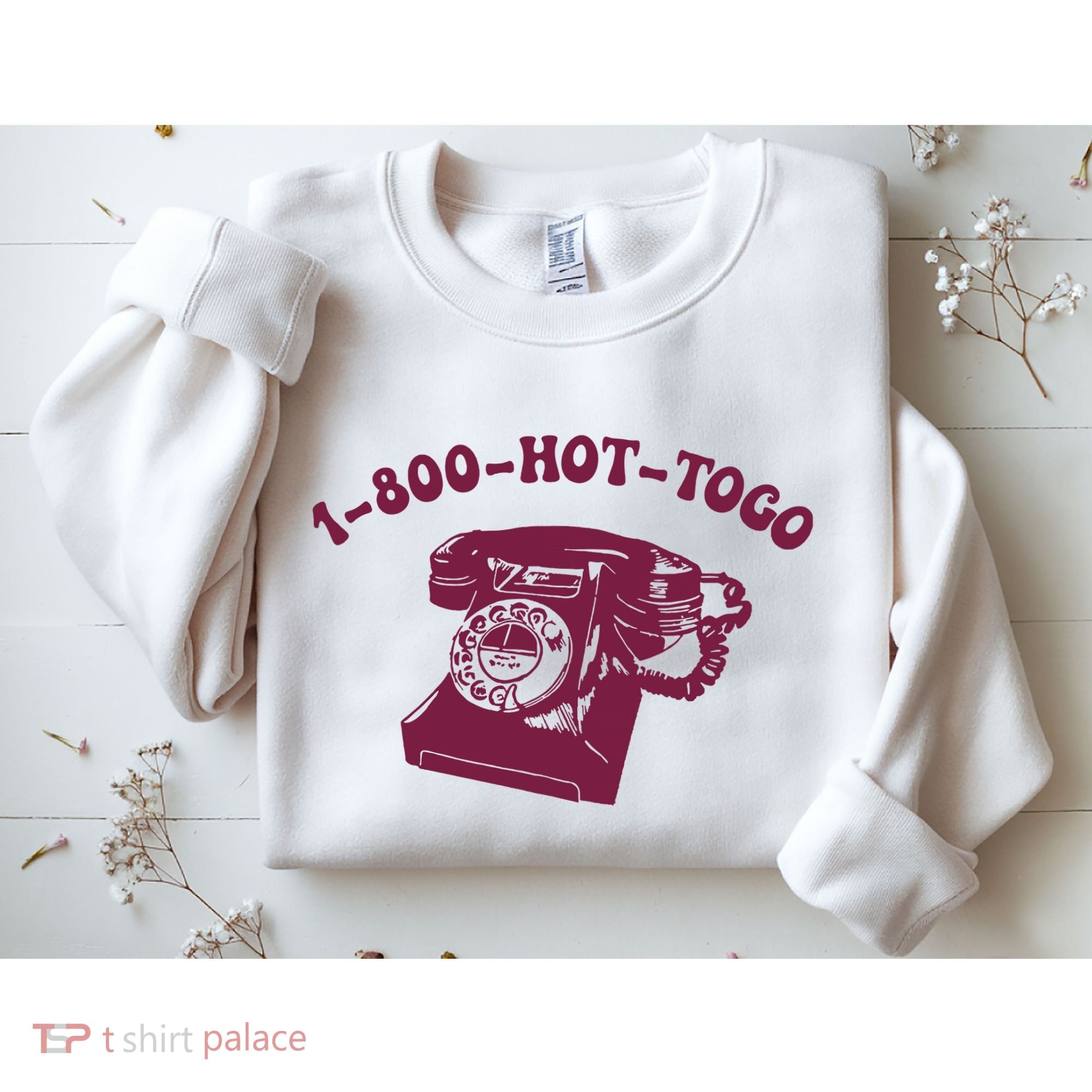 Hot To Go Wlw Midwest Princess Queer. Sweatshirt