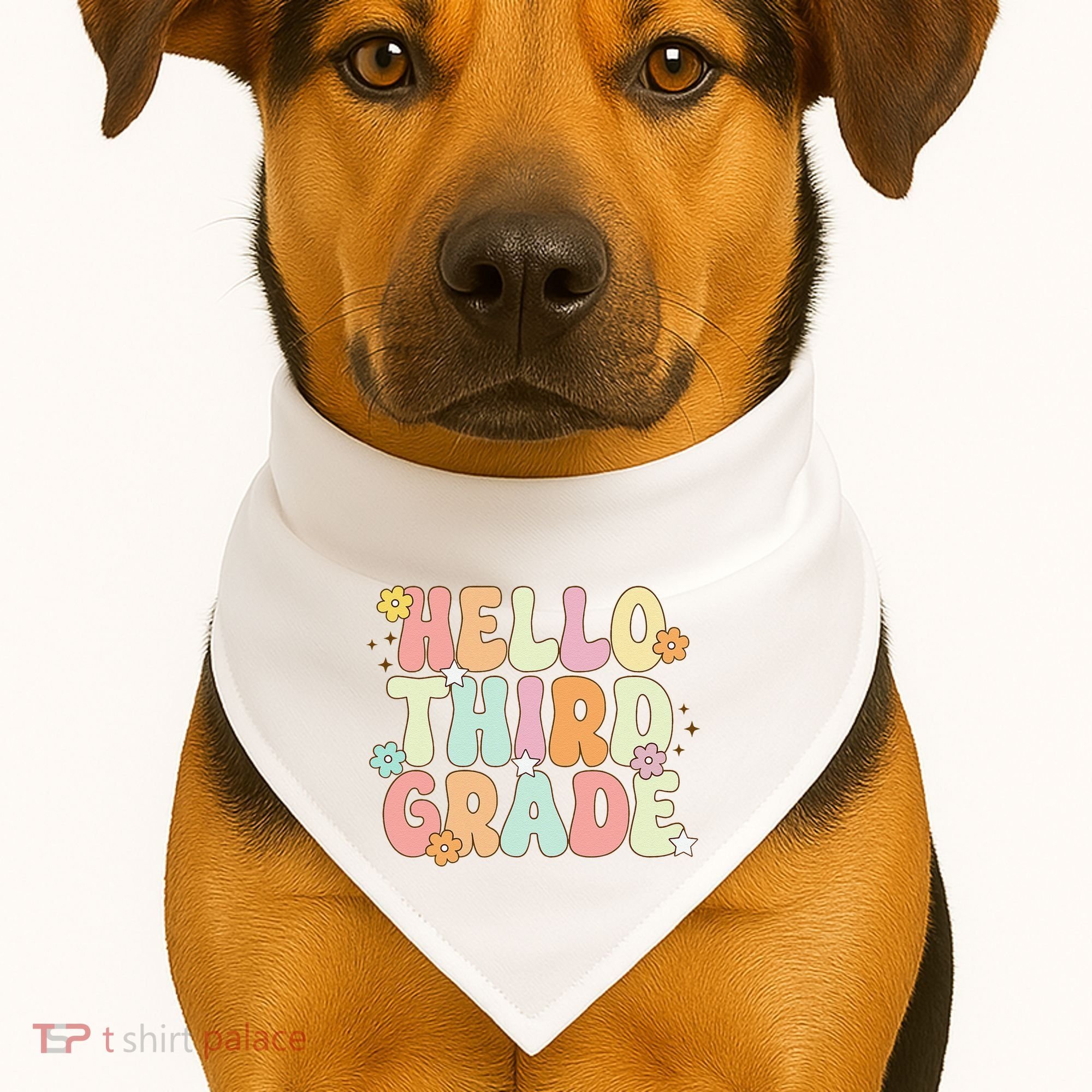 Hello Third Grade Team 3rd Grade Back To School Teacher USA-Made Doggie Bandana