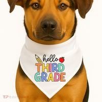 Hello Third Grade Team 3rd Grade Back To School Teacher USA-Made Doggie Bandana thumb 1