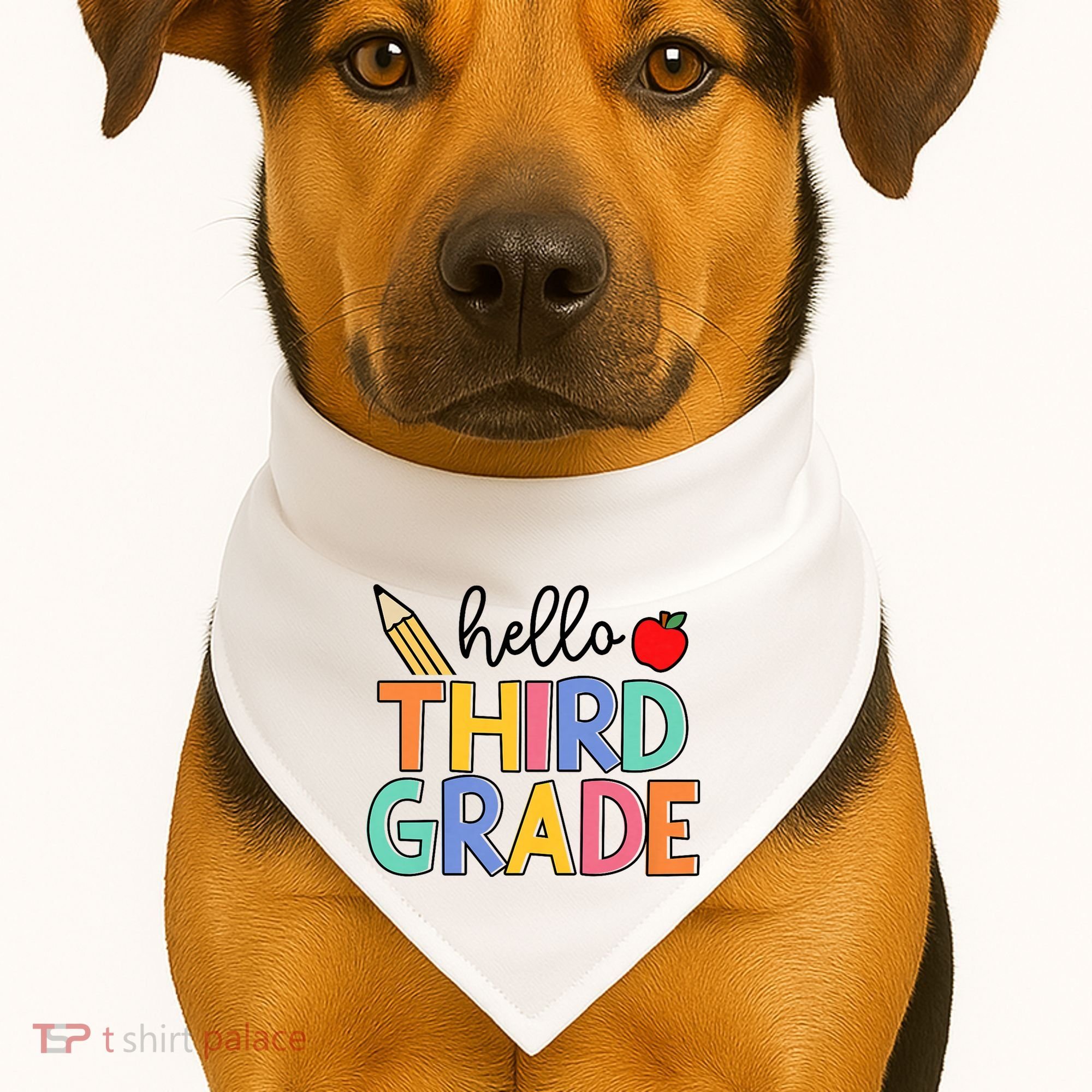 Hello Third Grade Team 3rd Grade Back To School Teacher USA-Made Doggie Bandana