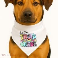 Hello Third Grade Team 3rd Grade Girl Teacher Back To School USA-Made Doggie Bandana thumb 1