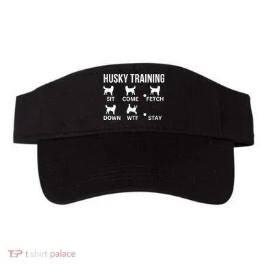 Visor