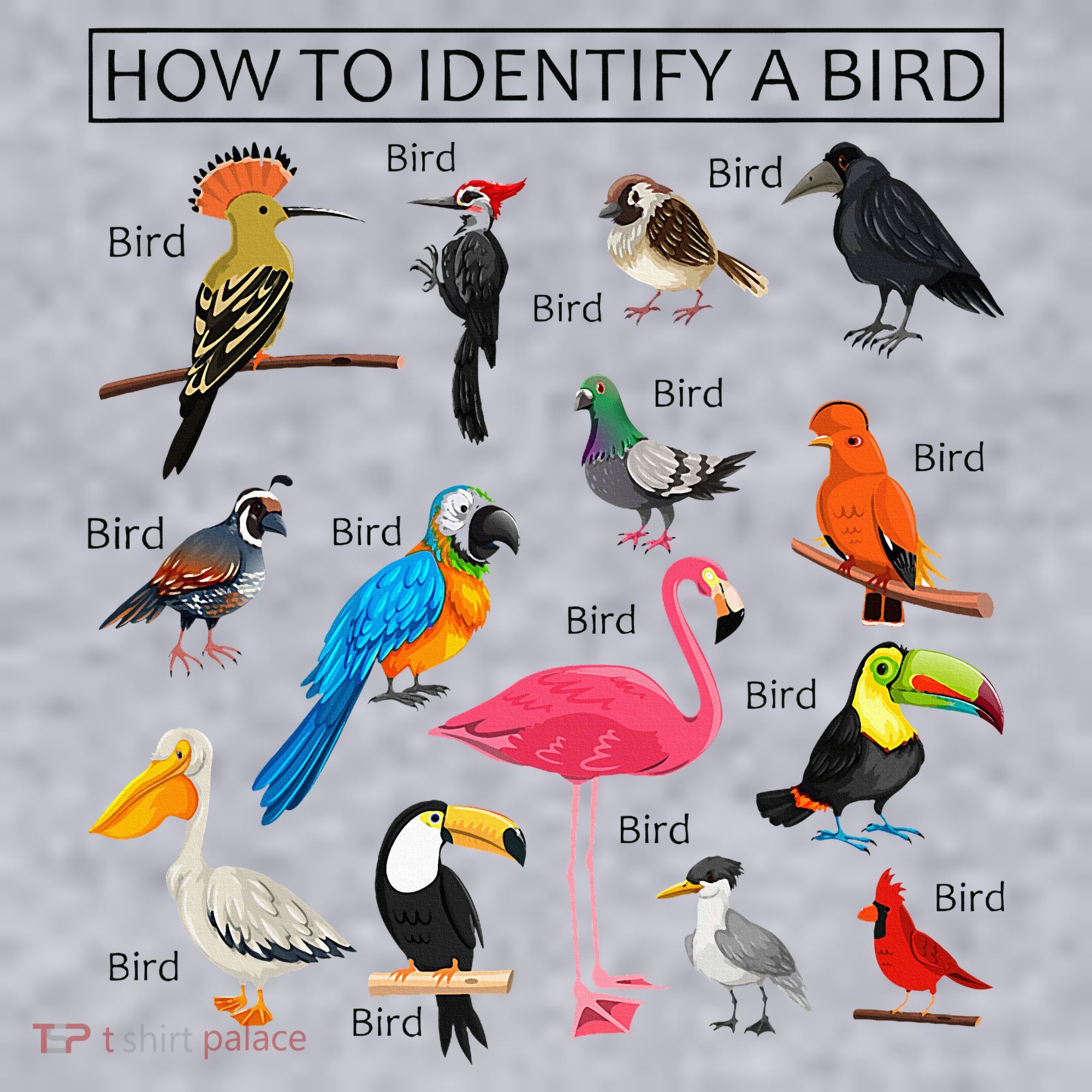 How To Identify A Bird Birds Lover Nature Birdwatcher Women's Sweatshirt