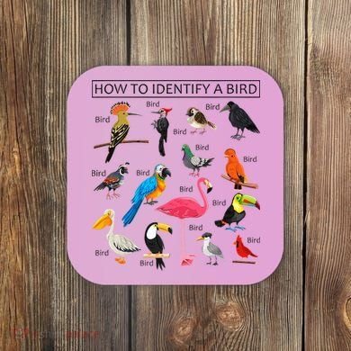 How To Identify A Bird Birds Lover Nature Birdwatcher Coaster