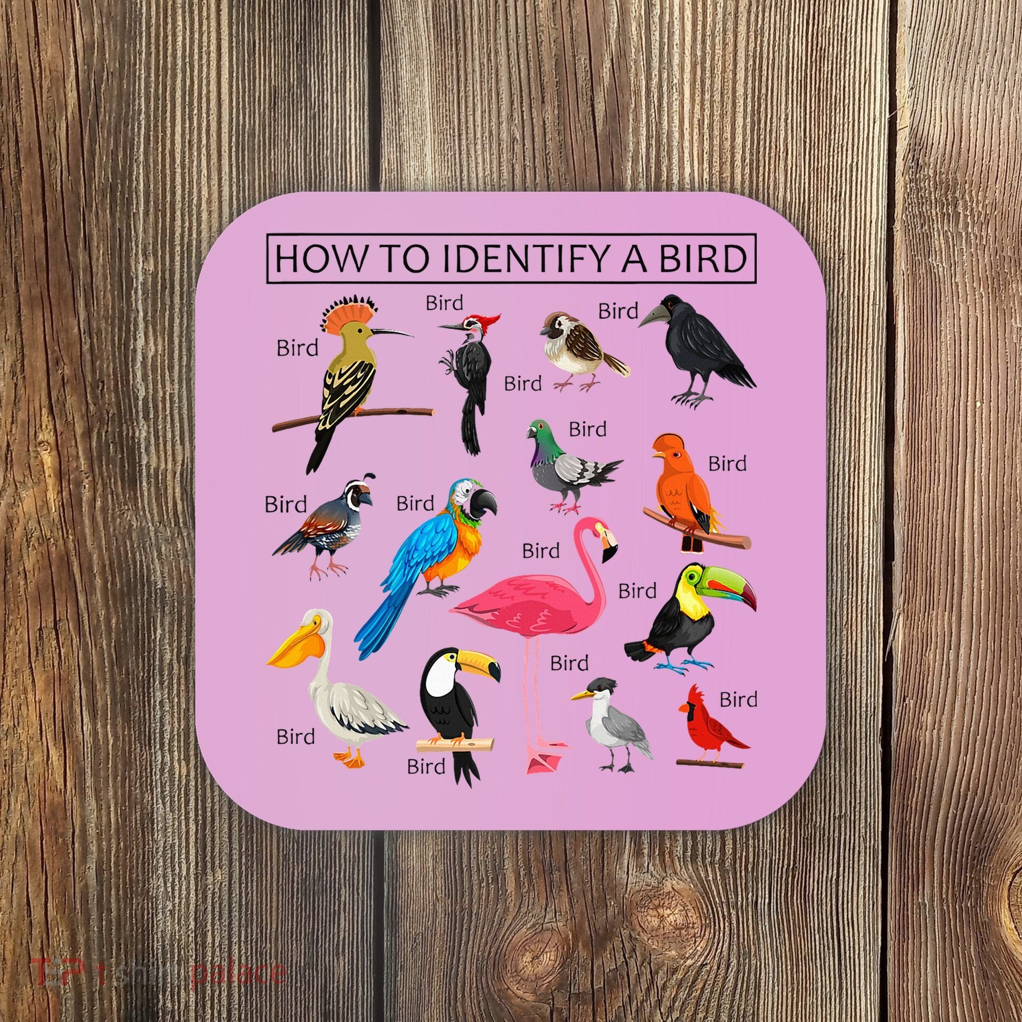 How To Identify A Bird Birds Lover Nature Birdwatcher Coaster