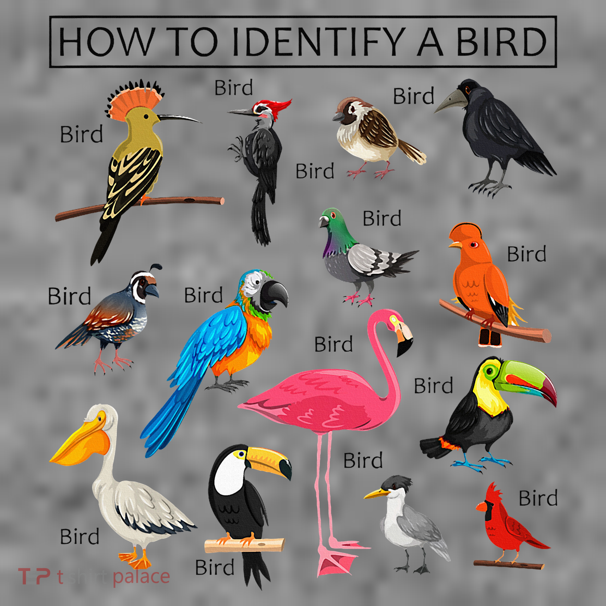 How To Identify A Bird Birds Lover Nature Birdwatcher Toddler Hoodie
