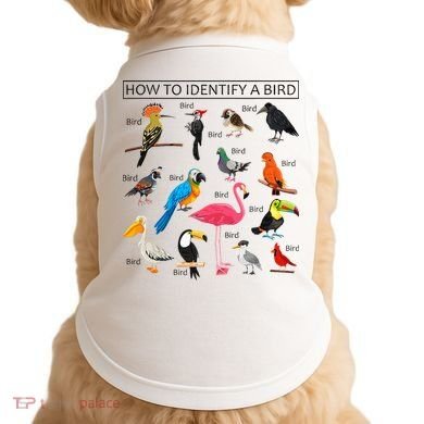 How To Identify A Bird Birds Lover Nature Birdwatcher Doggie Tank