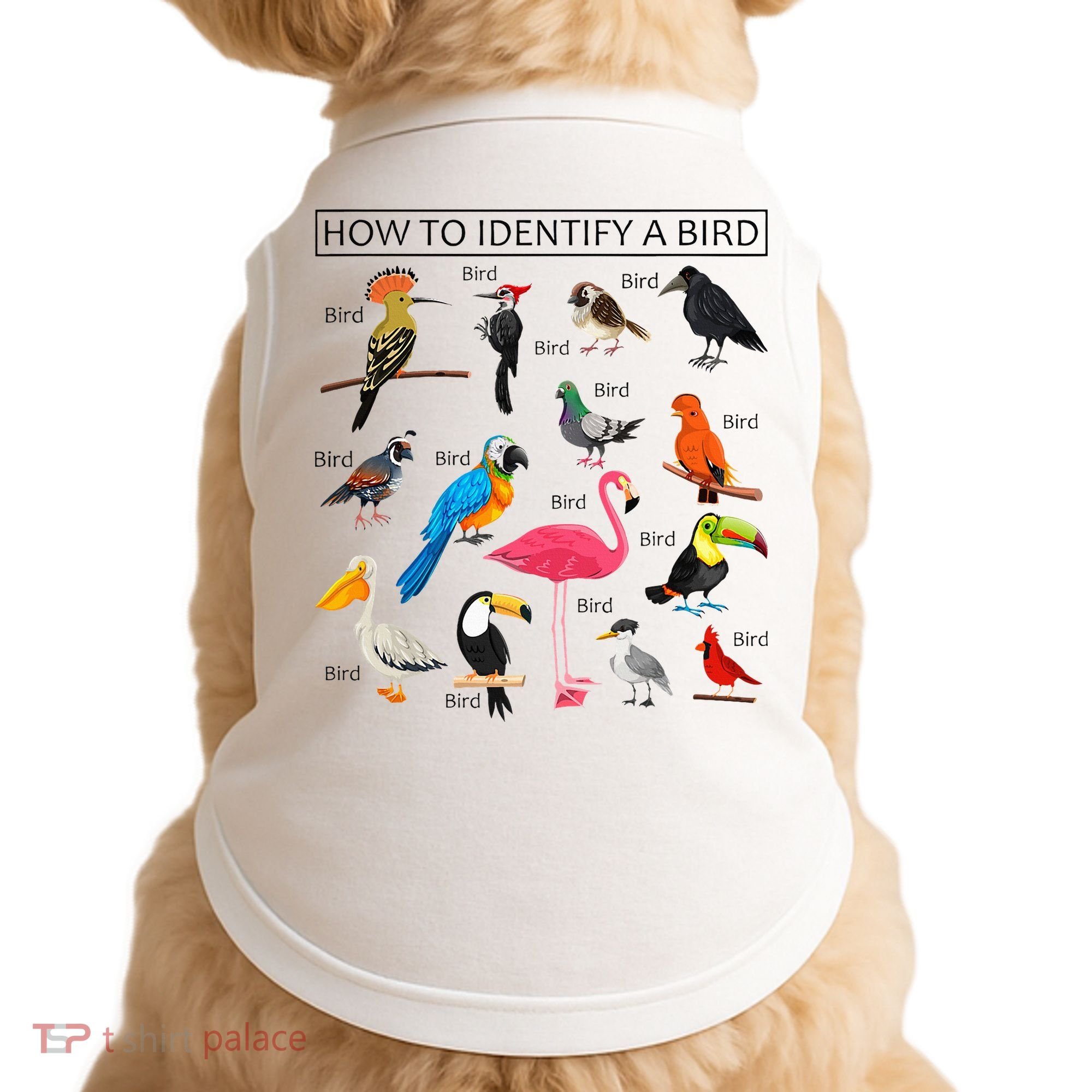 How To Identify A Bird Birds Lover Nature Birdwatcher Doggie Tank