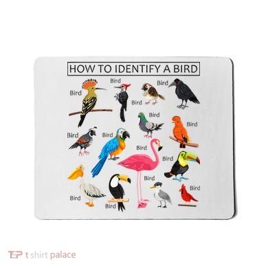 How To Identify A Bird Birds Lover Nature Birdwatcher Mousepad