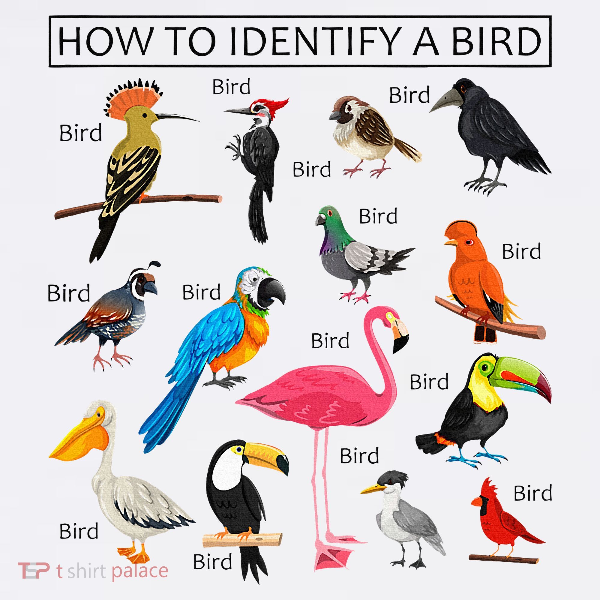 How To Identify A Bird Birds Lover Nature Birdwatcher Mousepad