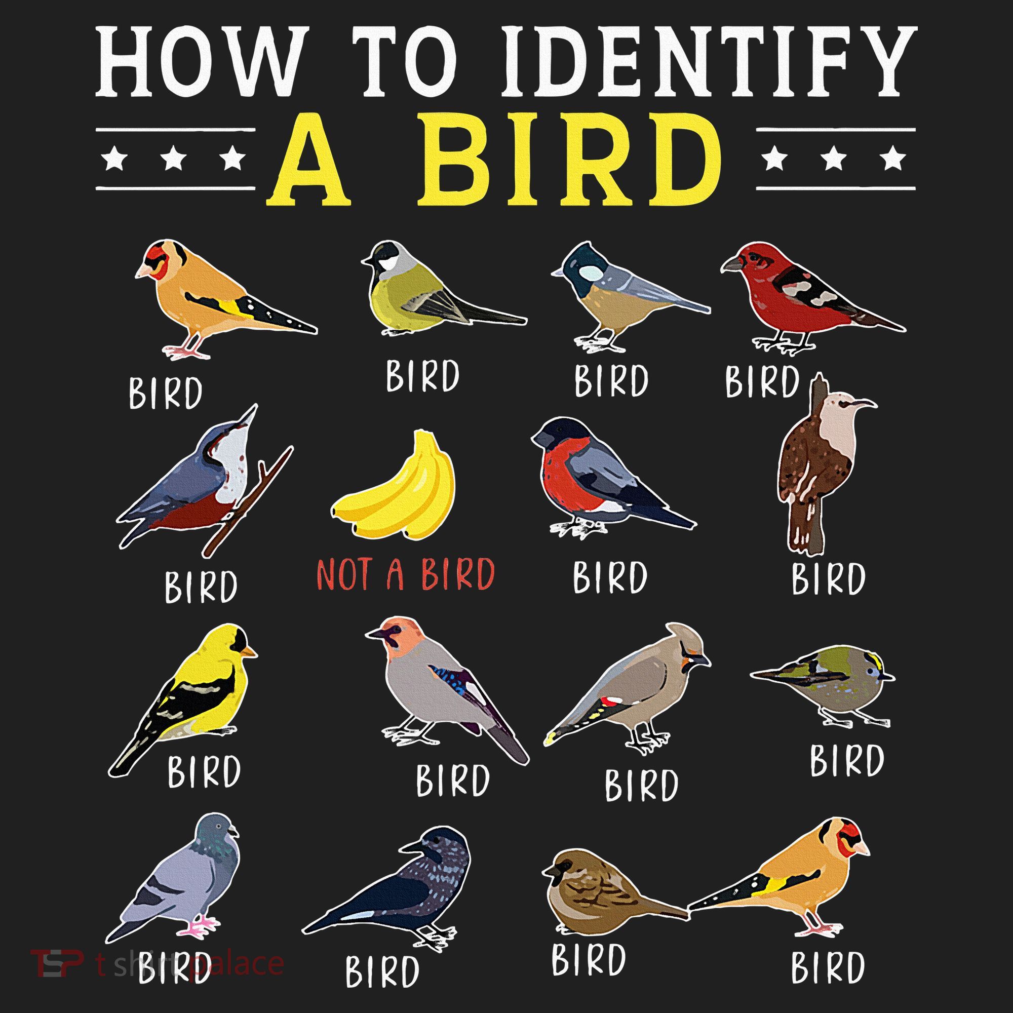 How To Identify A Bird Bird Watcher Bird Lover Women's Sweatshirt