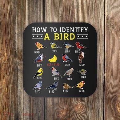How To Identify A Bird Bird Watcher Bird Lover Coaster