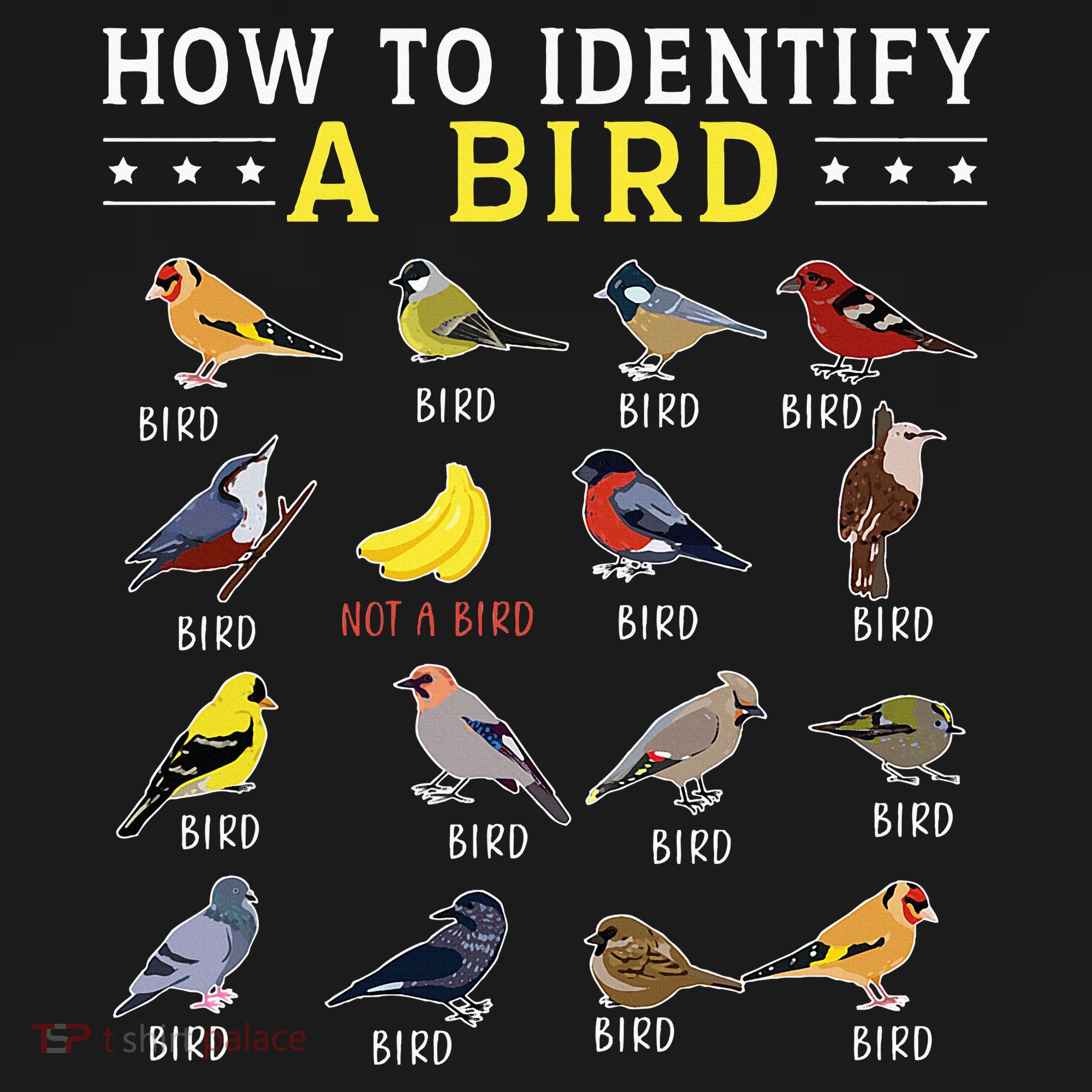 How To Identify A Bird Bird Watcher Bird Lover Ornament