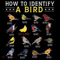 How To Identify A Bird Bird Watcher Bird Lover Kids Long Sleeve Shirt thumb 2