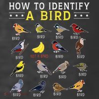 How To Identify A Bird Bird Watcher Bird Lover Kids T-Shirt thumb 4
