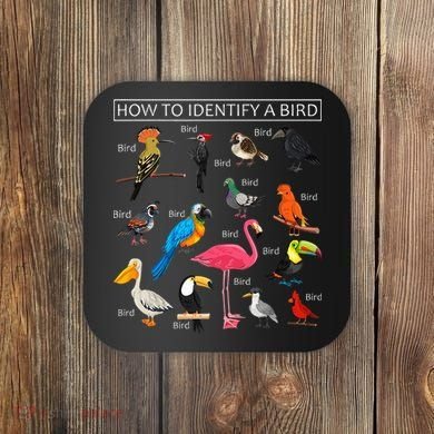 How To Identify A Bird Funny Birds Lover Nature Birdwatcher Coaster