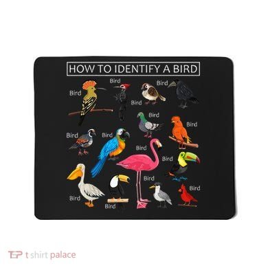 How To Identify A Bird Funny Birds Lover Nature Birdwatcher Mousepad