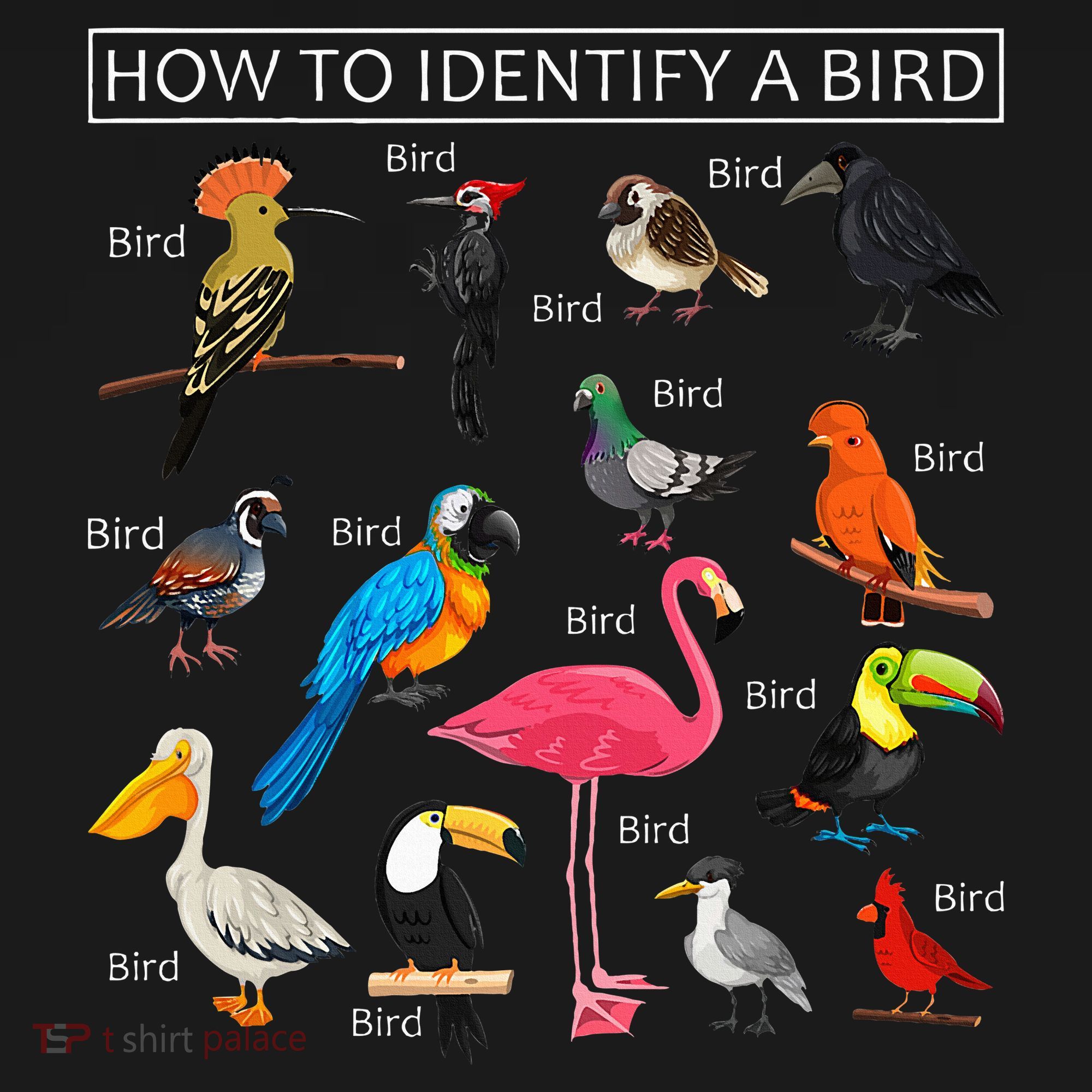 How To Identify A Bird Funny Birds Lover Nature Birdwatcher Ornament